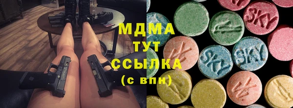 мдпв Богданович